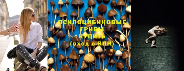 скорость Алзамай